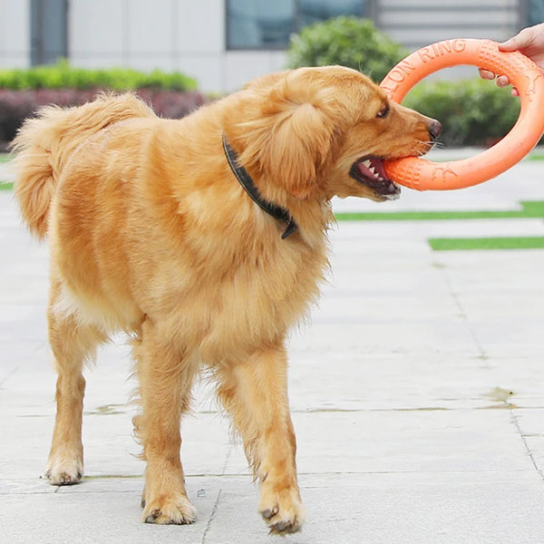 Orbit Fetch Ring Dog Toy