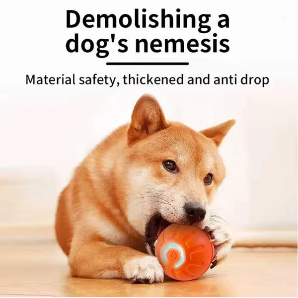 Smart Bounce Pet Play Ball