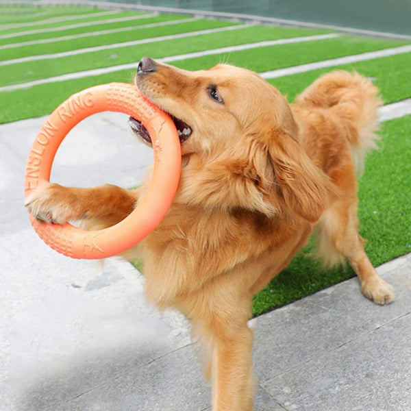Orbit Fetch Ring Dog Toy