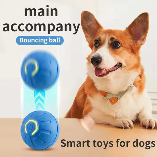 Smart Bounce Pet Play Ball